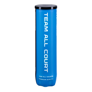 Теннисные мячи Neva Sport Team All Court х4 (банка)